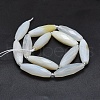Natural White Agate Beads Strands G-O179-G01-2-2