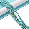 Natural Howlite Beads Strands G-E604-B03-A-2