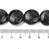Natural Larvikite Beads Strands G-U018-I08-01-4