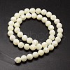 Shell Beads Strands SSHEL-E571-39-8mm-2