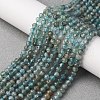 Natural Apatite Beads Strands G-G161-A11-03A-2