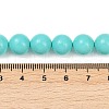 Shell Pearl Beads Strands BSHE-XCP00001-60A-4