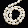 Natural Cultured Freshwater Pearl Beads Strands PEAR-L001-A-20-4