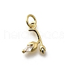 Brass Micro Pave Cubic Zirconia Charms KK-P295-09G-1
