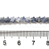 Natural Blue Spot Jasper Beads Strands G-G085-B41-01-4