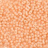 Baking Paint Glass Seed Beads SEED-L011-09A-12-3