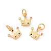 Brass Micro Pave Cubic Zirconia Charms ZIRC-F106-04G-1