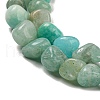 Natural Amazonite Bead Strands G-F465-59-4