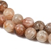 Natural Quartz Beads Strands G-P488-04B-7