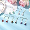 Natural Gemstone Round Dangle Earrings for Women EJEW-JE06334-1