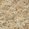 Glass Seed Beads X1-SEED-S042-04A-05-3