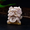 Resin PiXiu Figurine Display Decorations PW-WG22F9A-13-1