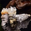 Natural Quartz Crystal Skull Display Decorations PW-WG44ED8-01-3