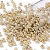 6/0 Glass Seed Beads X1-SEED-A017-4mm-1107-1
