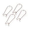 Tarnish Resistant 304 Stainless Steel Hoop Earrings Findings Kidney Ear Wires STAS-L216-22B-P-1