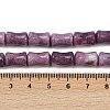 Natural Lepidolite/Purple Mica Stone Beads Strands G-F792-B01-5