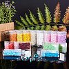 Glass Seed Beads SEED-PH0012-20-2