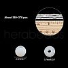  2 Strands Natural Freshwater Shell Beads Strands BSHE-NB0001-12-2