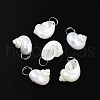 Natural Spiral Shell Pendants SHEL-N036-11-1