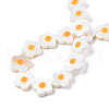 Natural Freshwater Shell Beads Strands SHEL-N003-31C-01-4