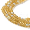 Transparent Glass Beads Strands X1-EGLA-A034-T4mm-MB04-4