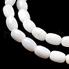 Natural Freshwater Shell Beads Strands SHEL-R129-02-4