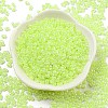 Ceylon Glass Seed Beads SEED-K009-02B-39-2