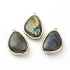 Natural Labradorite Pendants G-B009-05G-1