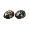 Natural Malachite Cabochons G-E464-42V-3