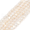 Natural Cultured Freshwater Pearl Beads Strands PEAR-P064-19D-05A-2