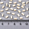 2-Hole Glass Seed Beads X-SEED-S031-M-SH1001F-2