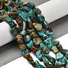 Natural HuBei Turquoise Beads Strands X-G-P497-01E-19-2