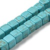 Dyed Synthetic Turquoise Beads Strands G-G075-B02-02-1