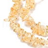 Spray Painted Transparent Glass Beads Strands GLAA-P060-01A-10-3