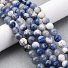 Natural Sodalite Round Bead Strands G-E334-8mm-08-5