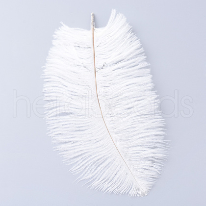 Ostrich Feather Costume Accessories X-FIND-R036-A-16-1