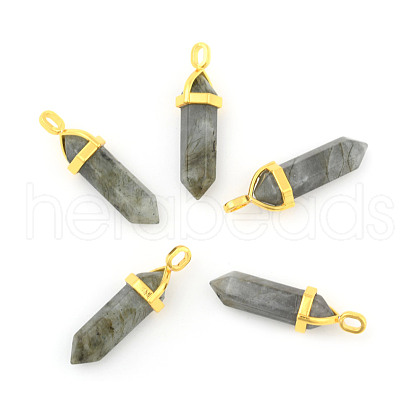 Natural Labradorite Pointed Pendants G-G902-A11-1