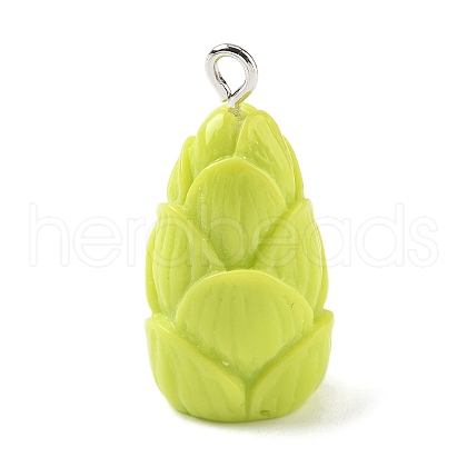 Opaque Resin Pendants RESI-G107-04B-1