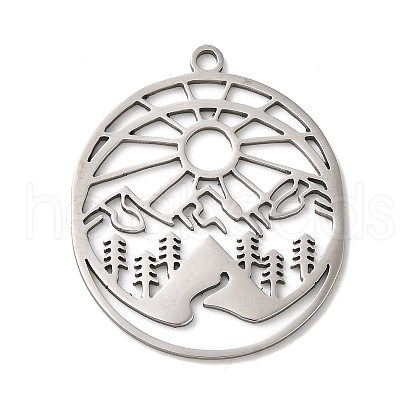 Non-Tarnish 201 Stainless Steel Pendants STAS-B049-19P-1
