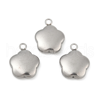 Tarnish Resistant 304 Stainless Steel Charms STAS-K002-33A2-1