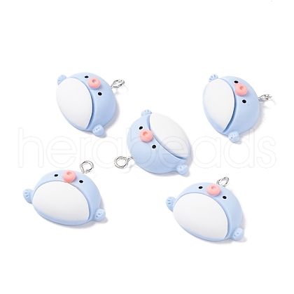 Resin Pendants RESI-K018-07-1