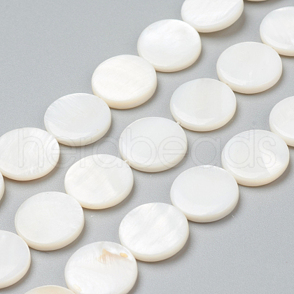 Natural Freshwater Shell Beads BSHE-I011-01B-02-1