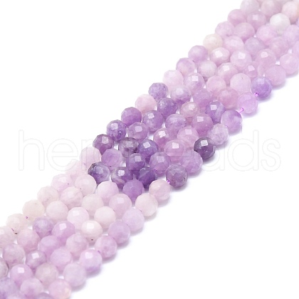 Natural Lepidolite/Purple Mica Stone Beads Strands G-P457-A03-01-1