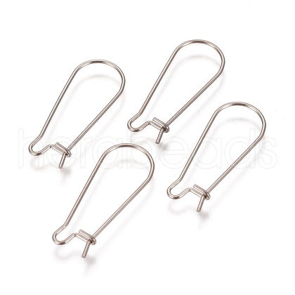 Tarnish Resistant 304 Stainless Steel Hoop Earrings Findings Kidney Ear Wires STAS-L216-22B-P-1