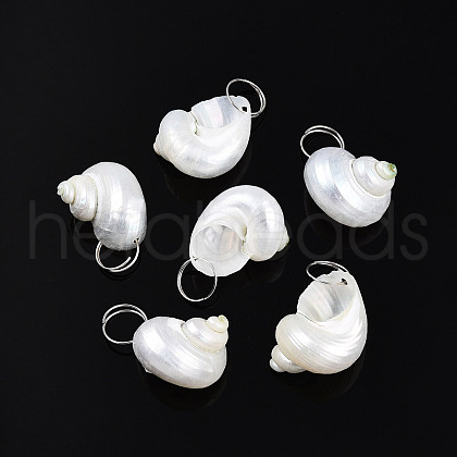 Natural Spiral Shell Pendants SHEL-N036-11-1