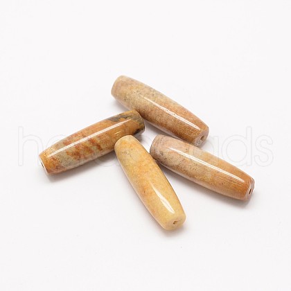 Natural Fossil Coral Beads G-P076-30-1