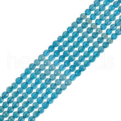 GOMAKERER 2 Strands Natural Apatite Beads Strands G-GO0001-62-1