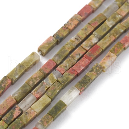 Natural Unakite Beads Strands G-C301-16-1