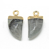 Natural Labradorite Pointed Pendants G-Q966-02-2