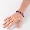 Chips Natural Gemstone Beaded Stretch Bracelets BJEW-JB02131-4